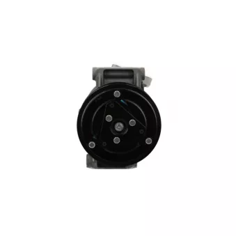 Compresseur, climatisation BV PSH 090.165.014.310