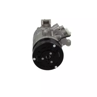 Compresseur, climatisation BV PSH 090.185.011.000