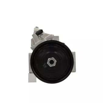 Compresseur, climatisation BV PSH 090.195.002.260