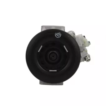 Compresseur, climatisation BV PSH 090.195.003.260