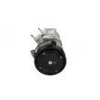 Compresseur, climatisation BV PSH 090.195.071.260 - Visuel 1