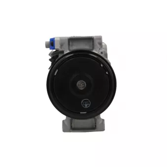 Compresseur, climatisation BV PSH 090.205.019.260