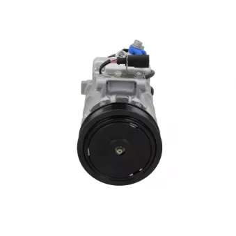 Compresseur, climatisation BV PSH 090.205.020.260