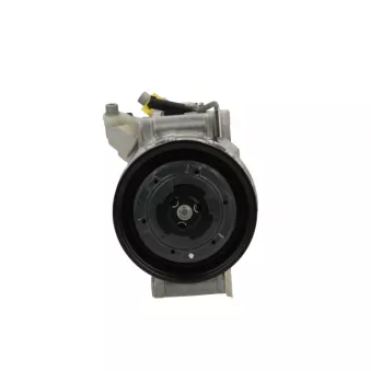 Compresseur, climatisation BV PSH 090.215.004.260