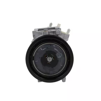 Compresseur, climatisation BV PSH 090.225.006.260