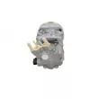 Compresseur, climatisation BV PSH 090.225.011.905 - Visuel 3