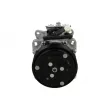 Compresseur, climatisation BV PSH 090.225.016.310 - Visuel 1