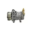 Compresseur, climatisation BV PSH 090.225.033.310 - Visuel 2