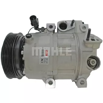 Compresseur, climatisation BV PSH 090.255.001.310
