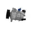 Compresseur, climatisation BV PSH 090.305.009.260 - Visuel 2