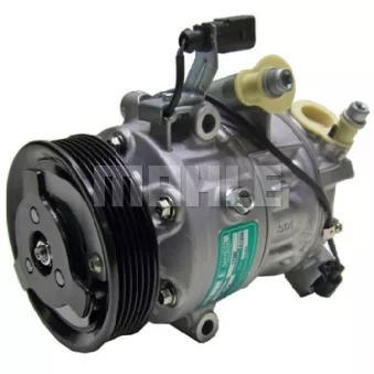 Compresseur, climatisation BV PSH 090.445.005.310