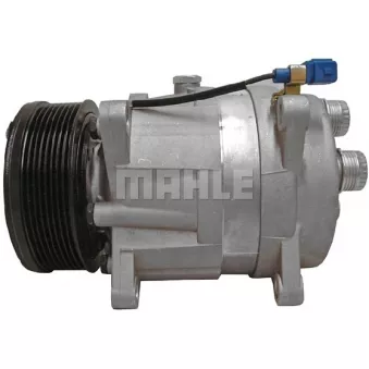 Compresseur, climatisation BV PSH 090.465.003.310