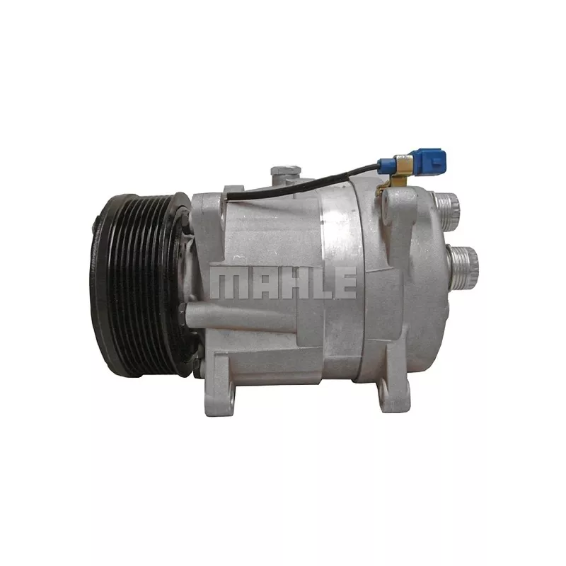 Compresseur, climatisation BV PSH 090.465.003.310