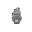 Compresseur, climatisation BV PSH 090.485.009.260 - Visuel 3
