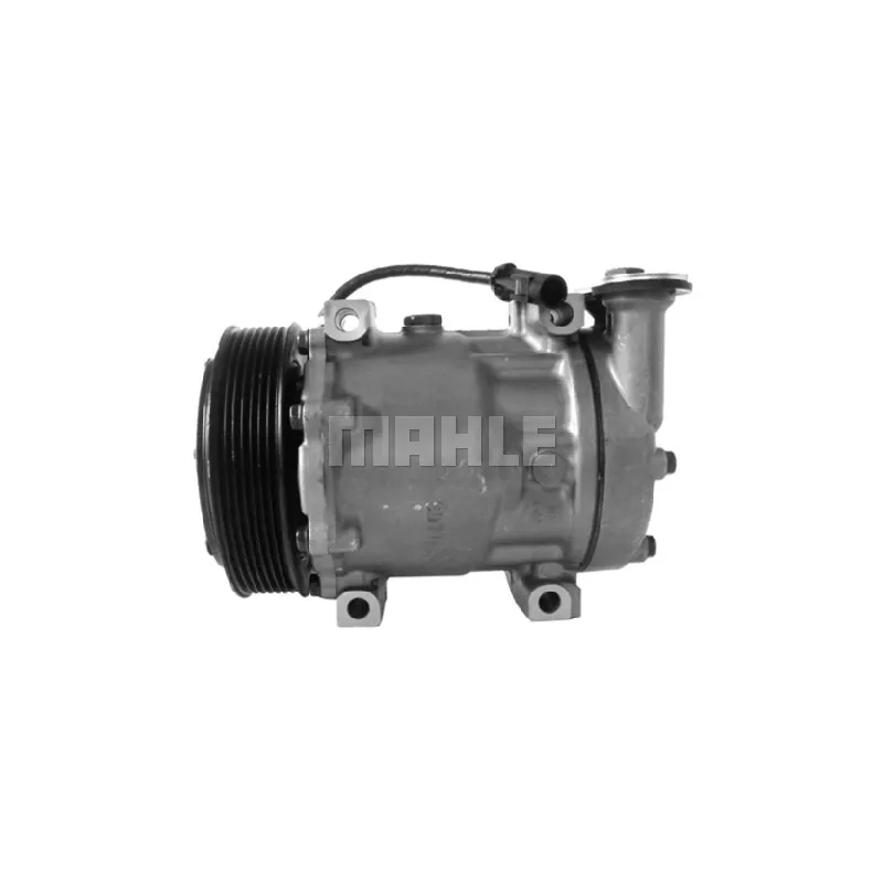 Compresseur, climatisation BV PSH 090.495.003.310