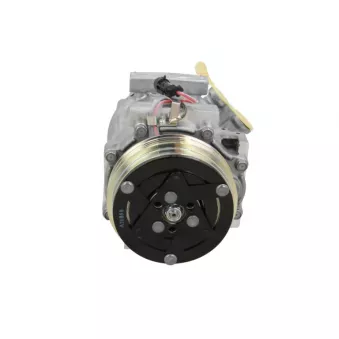Compresseur, climatisation BV PSH 090.505.040.310