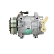 Compresseur, climatisation BV PSH 090.505.040.310 - Visuel 2