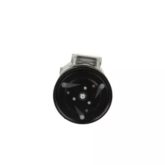 Compresseur, climatisation BV PSH 090.505.049.040