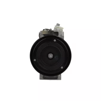 Compresseur, climatisation BV PSH 090.555.002.260