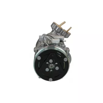 Compresseur, climatisation BV PSH 090.575.026.905