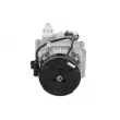 Compresseur, climatisation BV PSH 090.595.007.020 - Visuel 1