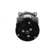 Compresseur, climatisation BV PSH 090.685.001.310 - Visuel 1