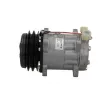 Compresseur, climatisation BV PSH 090.715.002.311 - Visuel 2