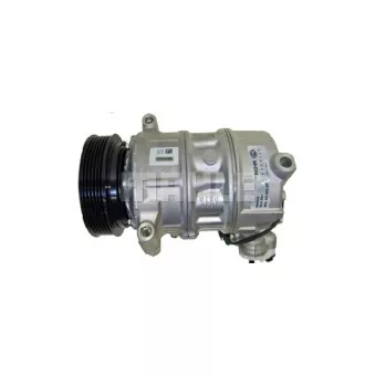 Compresseur, climatisation BV PSH 090.815.003.310