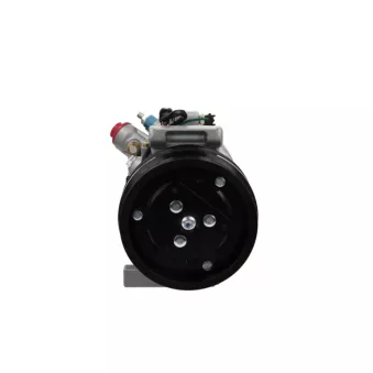 Compresseur, climatisation BV PSH 090.815.005.310