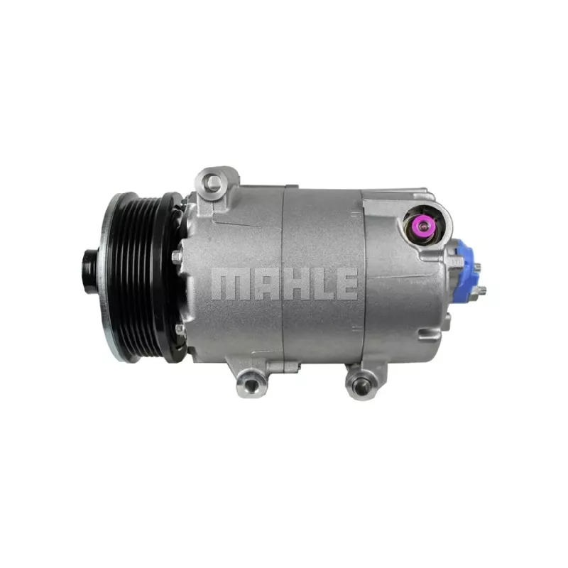 Compresseur, climatisation BV PSH 090.815.016.310