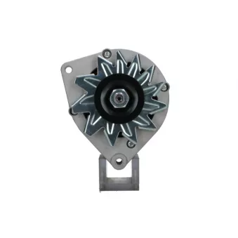 Alternateur BV PSH 105.002.065.010
