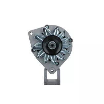 Alternateur BV PSH 105.002.065.018