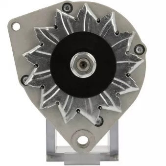 Alternateur BV PSH 105.005.065.010