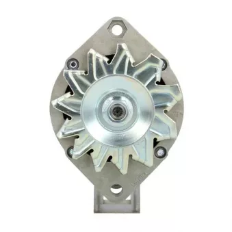 Alternateur BV PSH 105.012.055.311