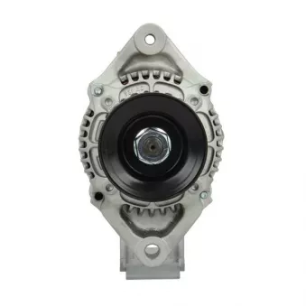 Alternateur BV PSH 115.516.055.415