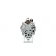 Alternateur BV PSH 125.508.060.415 - Visuel 3