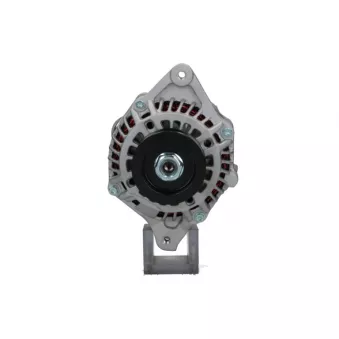 Alternateur BV PSH 125.530.080.138