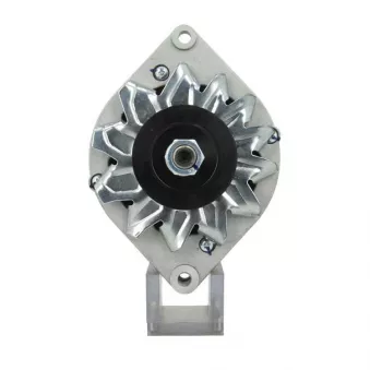 Alternateur BV PSH 135.004.055.010