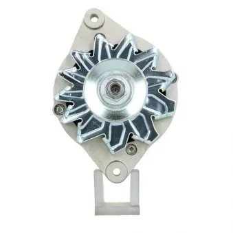 Alternateur BV PSH 135.005.055.312