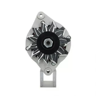 Alternateur BV PSH 135.007.070.010