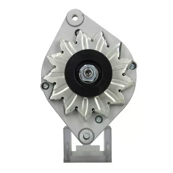 Alternateur BV PSH 135.007.070.030