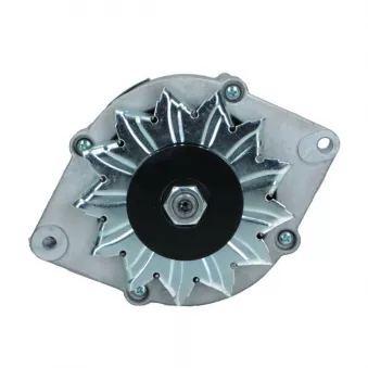 Alternateur BV PSH 135.008.065.018