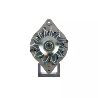 Alternateur BV PSH 135.008.065.313