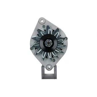 Alternateur BV PSH 135.009.065.010