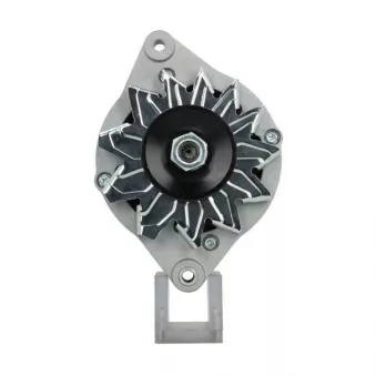 Alternateur BV PSH 135.011.070.090