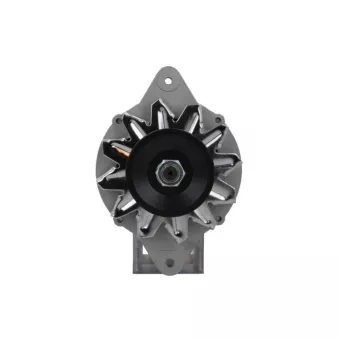 Alternateur BV PSH 135.017.055.080
