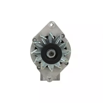 Alternateur BV PSH 135.026.085.018