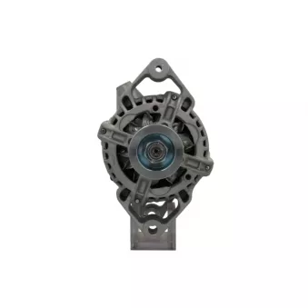 Alternateur BV PSH 135.519.070.010