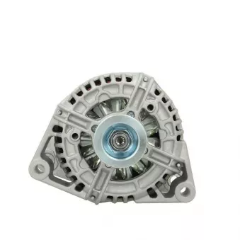 Alternateur BV PSH 135.524.120.010