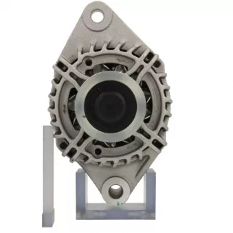 Alternateur BV PSH 135.534.120.261